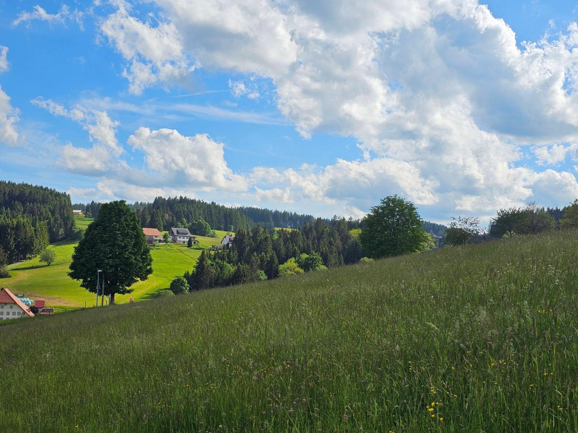 Miuti Residence Triberg im Schwarzwald Exterior foto
